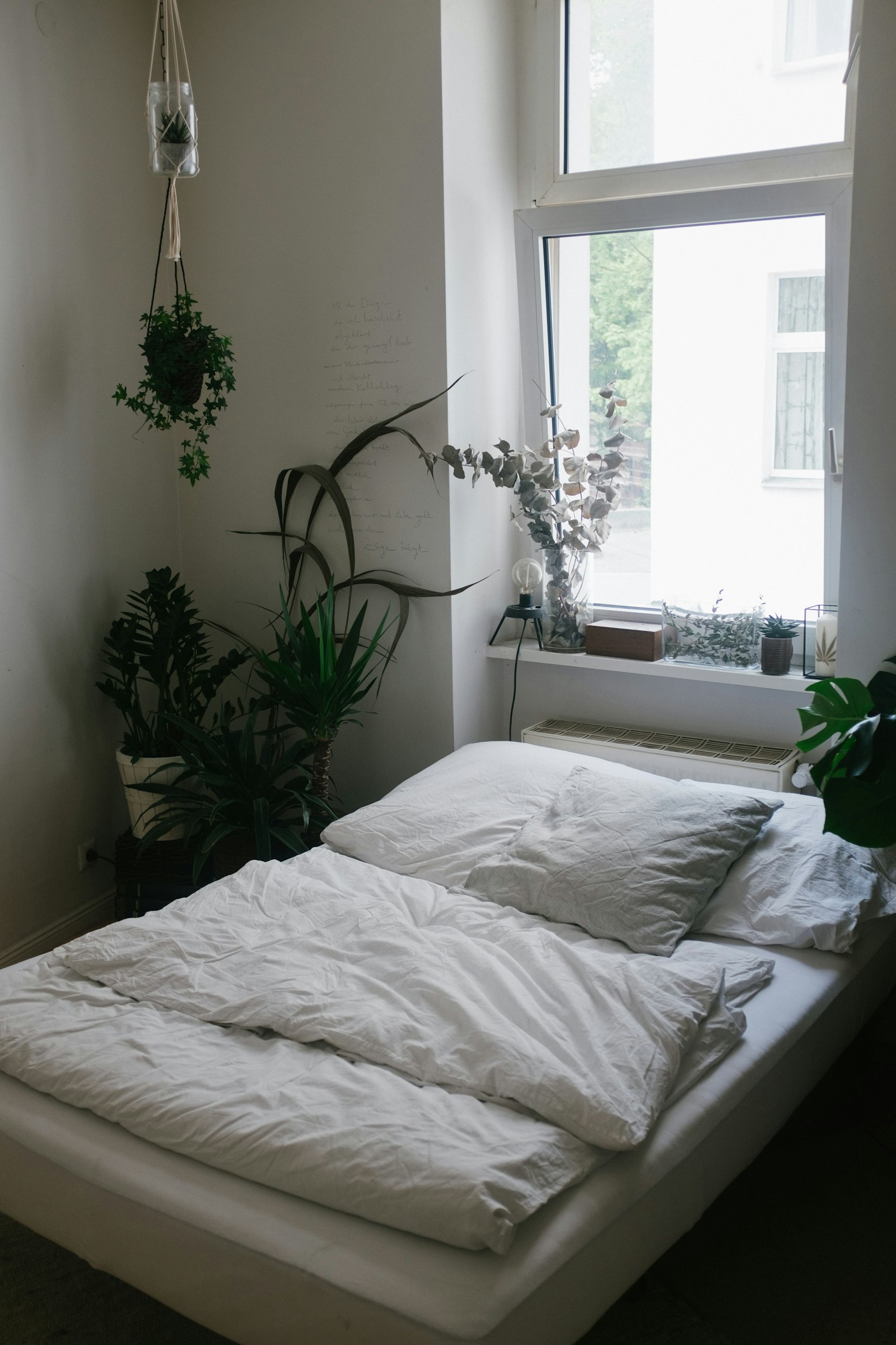 Studio Premium — foto 2